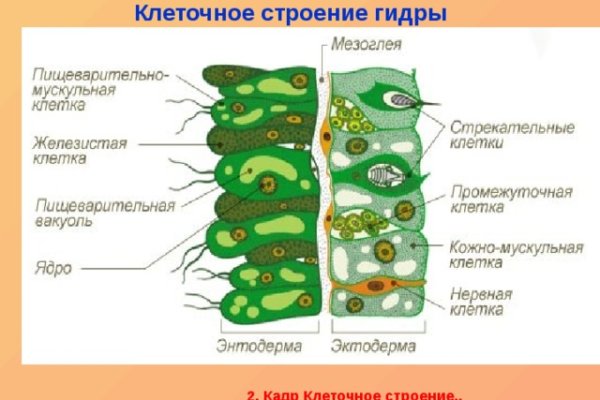 Как зайти на кракен через тор